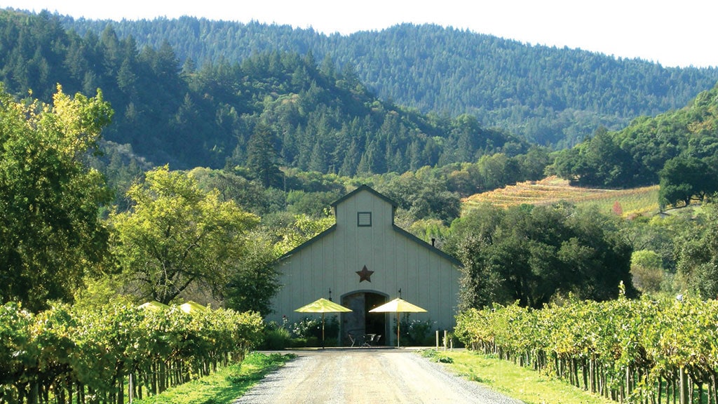 Amista Vineyards Sonoma County California