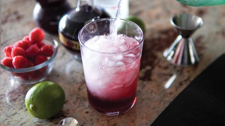 Vodka Raspberry Cocktail Recipe - Very Obsessed